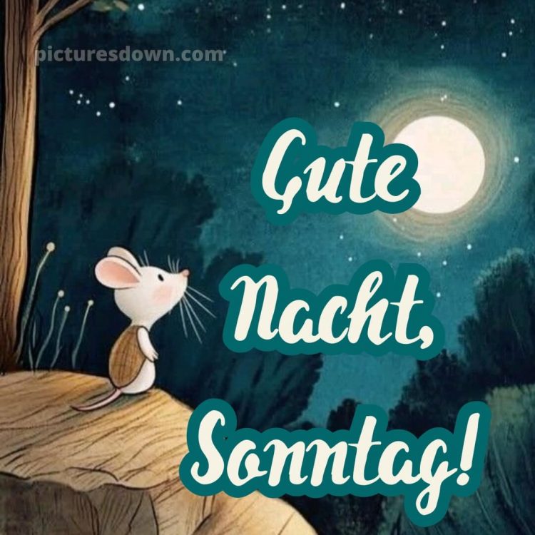 Gute nacht sonntag bild 6 kostenlos