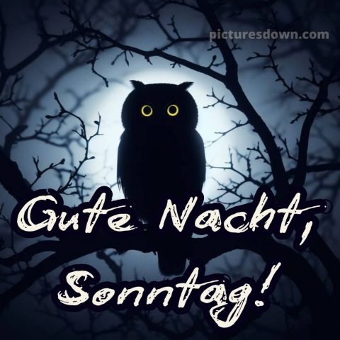 Gute nacht sonntag bild 9 kostenlos