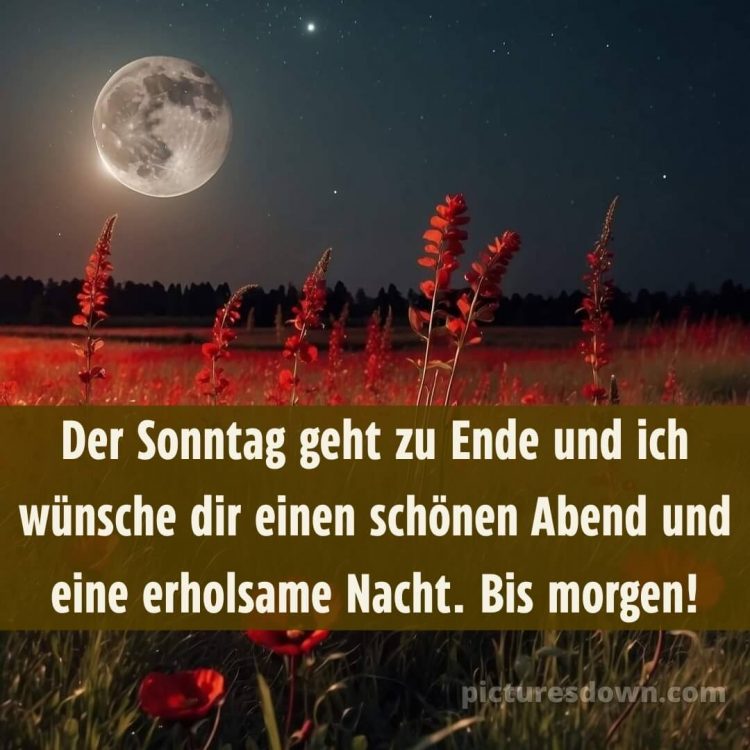 Gute nacht sonntag bilder bild 1 kostenlos