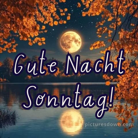 Gute nacht sonntag bilder bild 10 kostenlos
