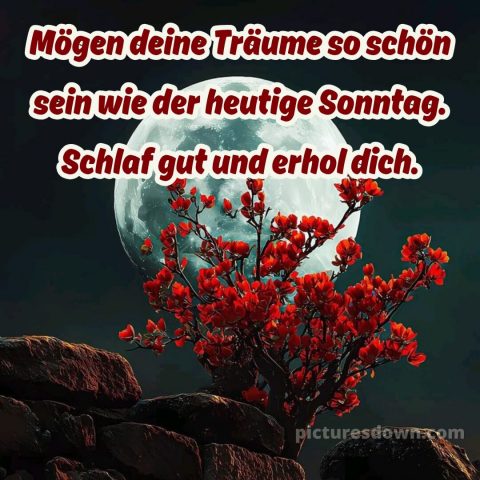 Gute nacht sonntag bilder bild 11 kostenlos