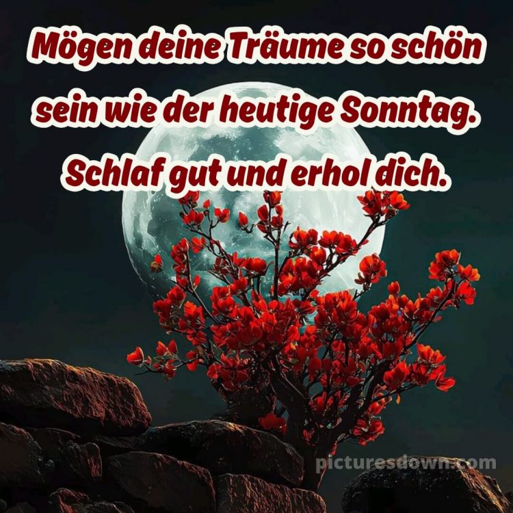 Gute nacht sonntag bilder bild 11 kostenlos