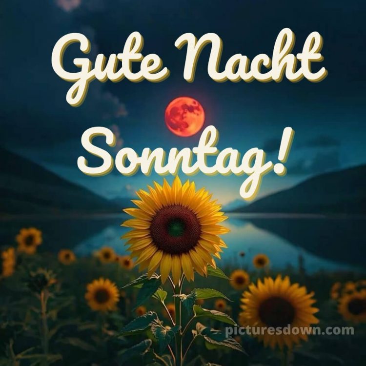 Gute nacht sonntag bilder bild 13 kostenlos