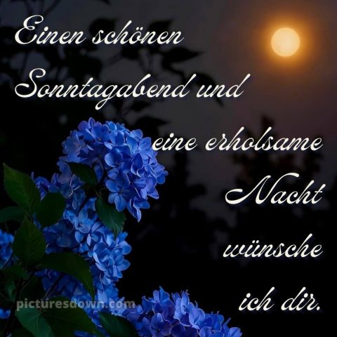 Gute nacht sonntag bilder bild 15 kostenlos