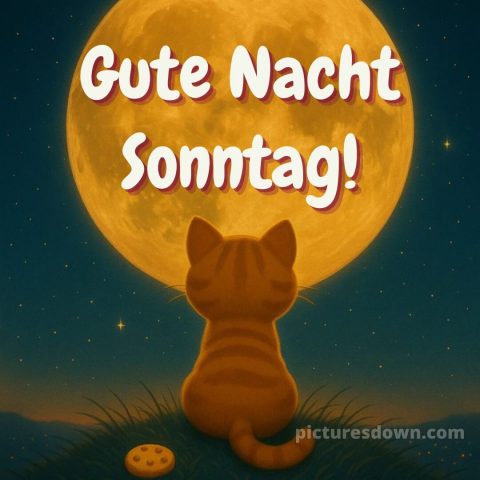 Gute nacht sonntag bilder bild 2 kostenlos