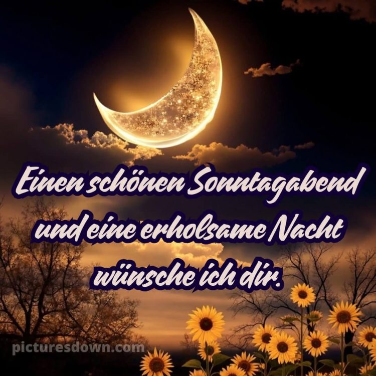 Gute nacht sonntag bilder bild 3 kostenlos