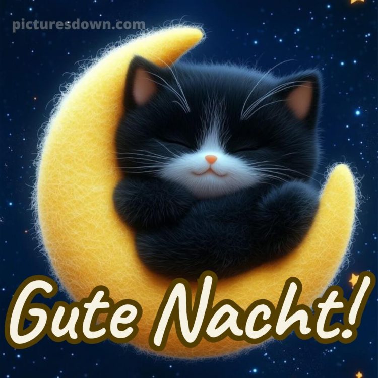 Gute nacht sonntag bilder bild 4 kostenlos