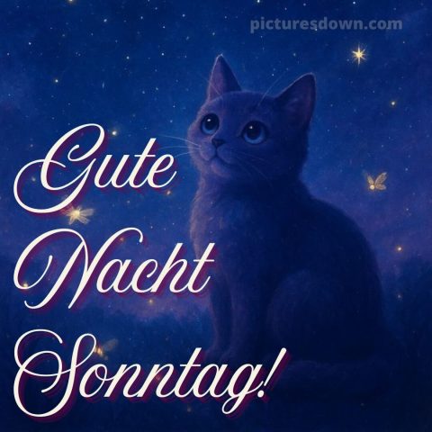 Gute nacht sonntag bilder bild 6 kostenlos