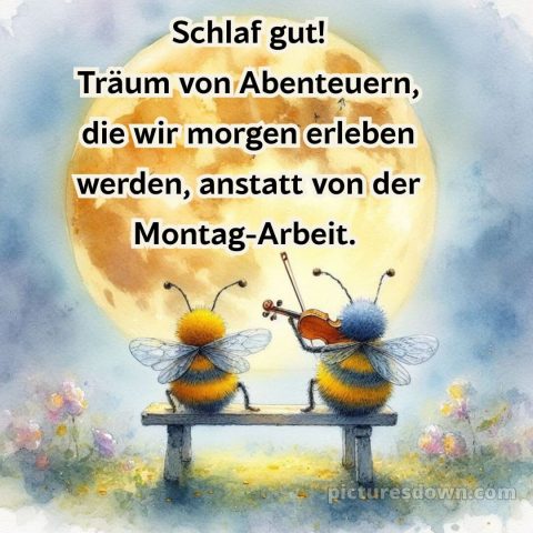 Gute nacht sonntag lustig bild 1 kostenlos