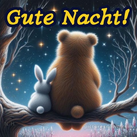 Gute nacht sonntag lustig bild 12 kostenlos