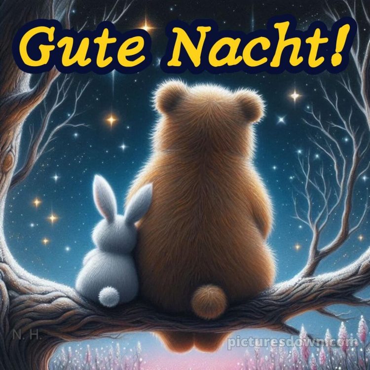 Gute nacht sonntag lustig bild 12 kostenlos