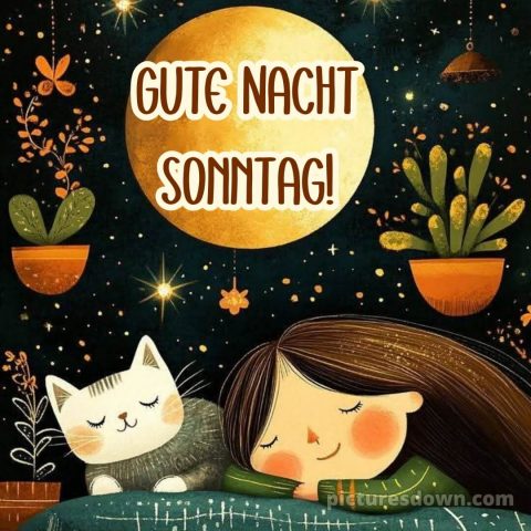 Gute nacht sonntag lustig bild 13 kostenlos
