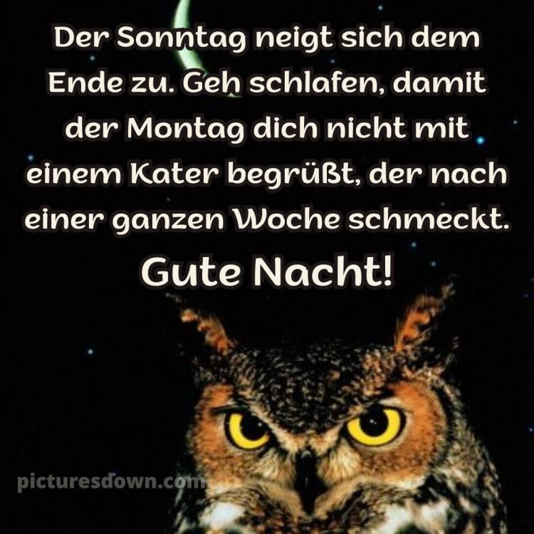 Gute nacht sonntag lustig bild 14 kostenlos