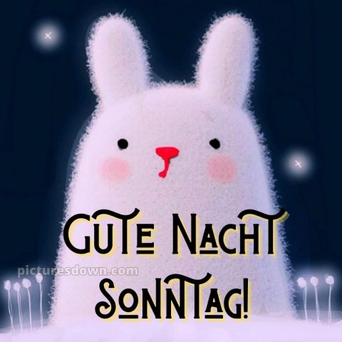 Gute nacht sonntag lustig bild 15 kostenlos