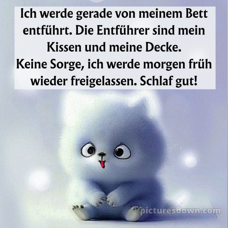 Gute nacht sonntag lustig bild 2 kostenlos