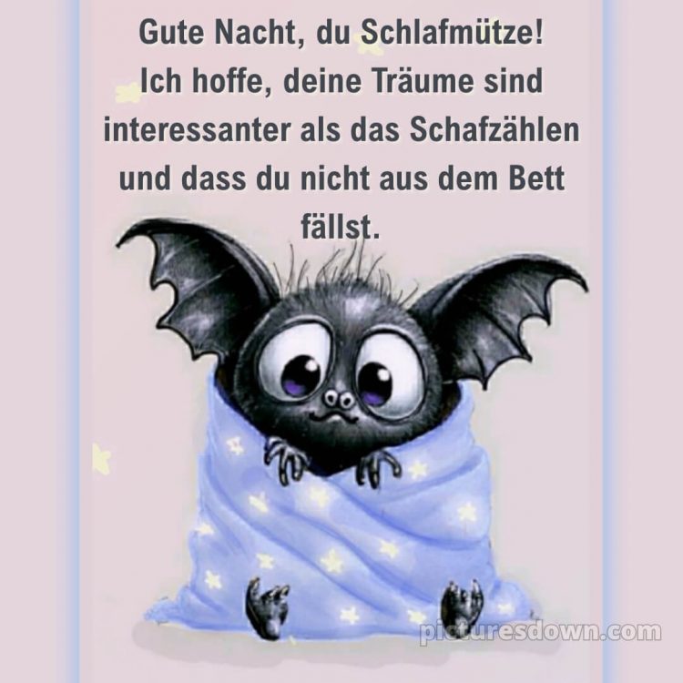 Gute nacht sonntag lustig bild 3 kostenlos