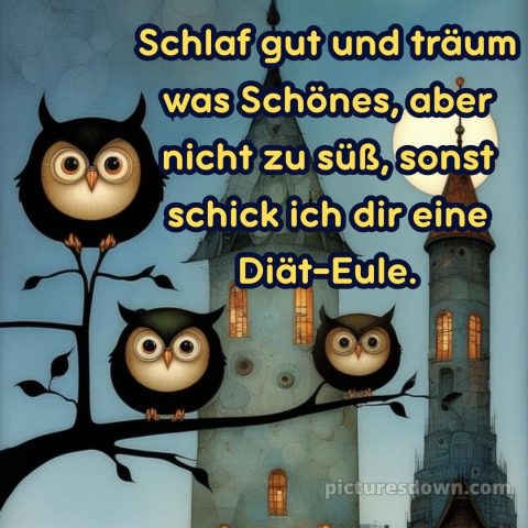 Gute nacht sonntag lustig bild 5 kostenlos