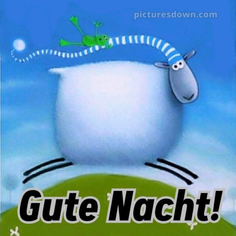 Gute nacht sonntag lustig bild 6 kostenlos