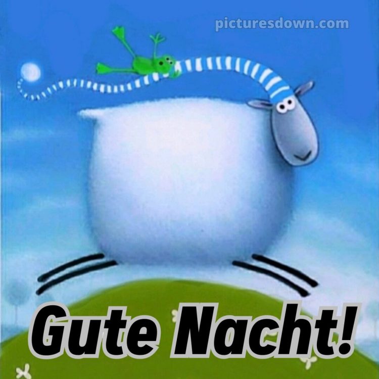 Gute nacht sonntag lustig bild 6 kostenlos