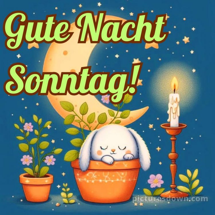 Gute nacht sonntag lustig bild 7 kostenlos