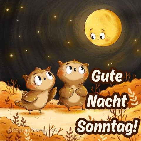 Gute nacht sonntag lustig bild 8 kostenlos