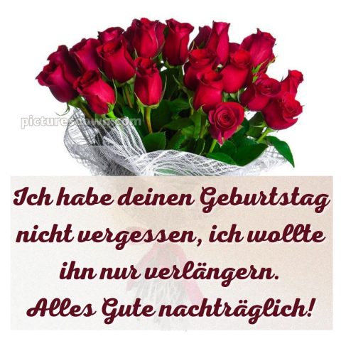 Herzlichen glückwunsch nachträglich zum geburtstag bild 11 kostenlos
