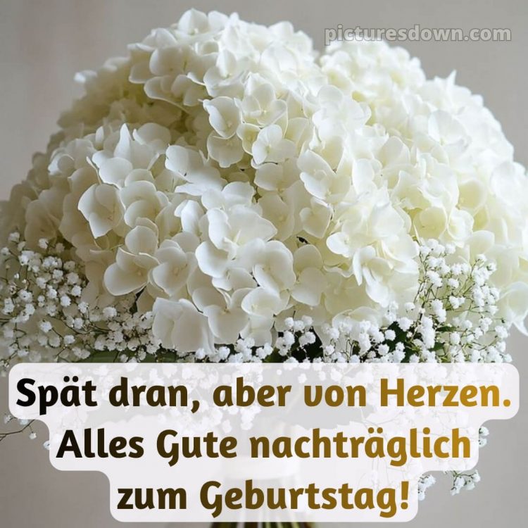 Herzlichen glückwunsch nachträglich zum geburtstag bild 14 kostenlos