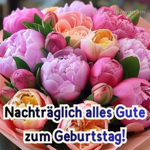 Herzlichen glückwunsch nachträglich zum geburtstag bild 15 kostenlos