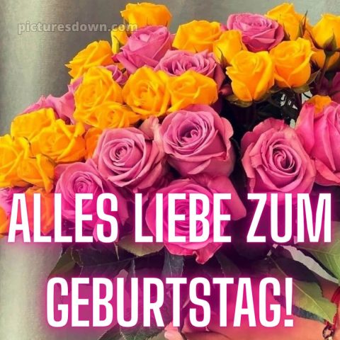 Herzlichen glückwunsch zum geburtstag bilder bild 5 kostenlos