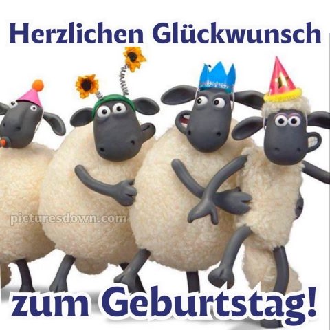 Herzlichen glückwunsch zum geburtstag lustig bild 2 kostenlos