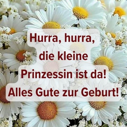 Herzlichen glückwunsch zur geburt eurer tochter bild 4 kostenlos