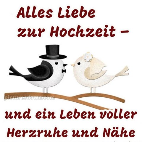 Herzlichen glückwunsch zur hochzeit bild 15 kostenlos