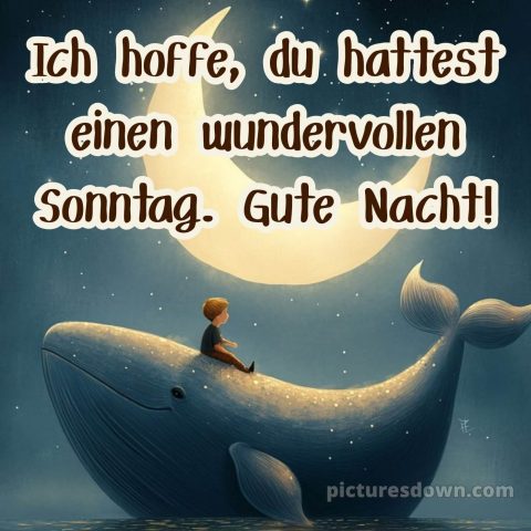 Sonntag abend gute nacht bild 10 kostenlos