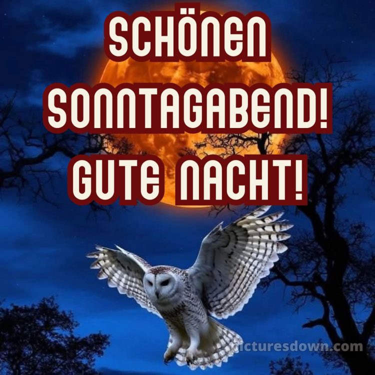Sonntag abend gute nacht bild 13 kostenlos