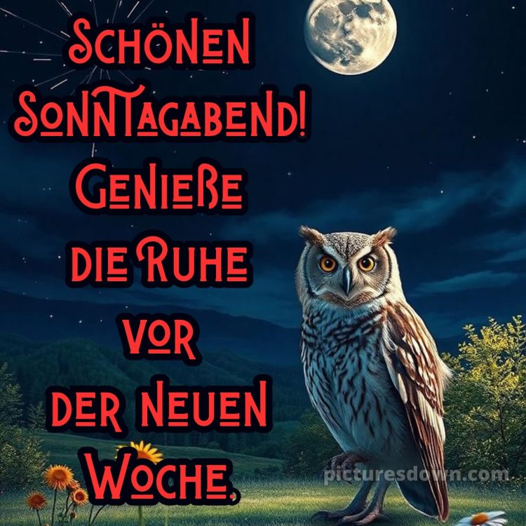 Sonntag abend gute nacht bild 14 kostenlos