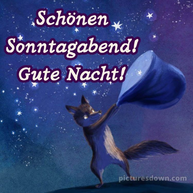 Sonntag abend gute nacht bild 2 kostenlos