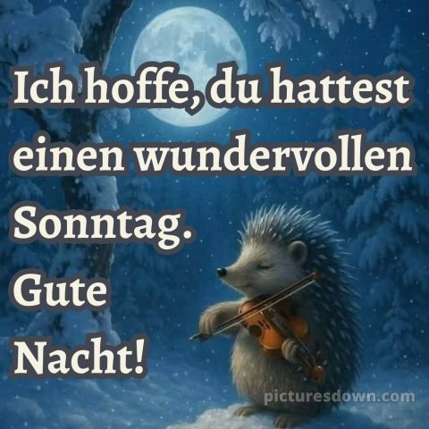 Sonntag abend gute nacht bild 3 kostenlos
