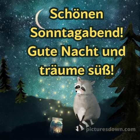 Sonntag abend gute nacht bild 6 kostenlos