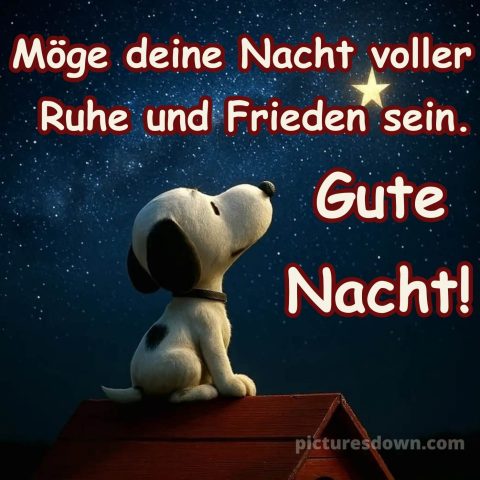 Sonntag abend gute nacht bild 8 kostenlos
