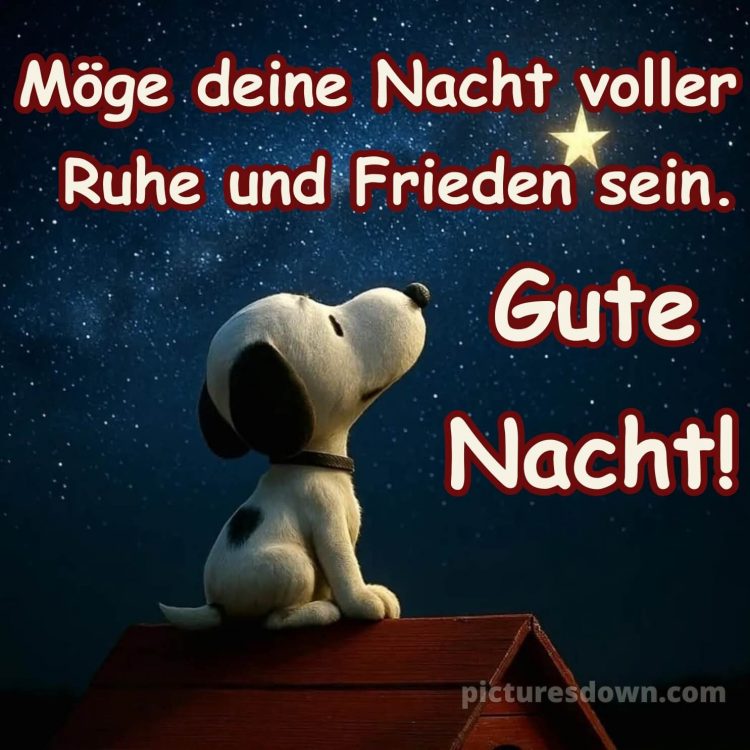 Sonntag abend gute nacht bild 8 kostenlos