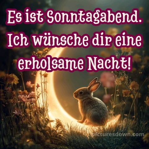 Sonntag guten abend gute nacht bilder kostenlos bild 10 kostenlos