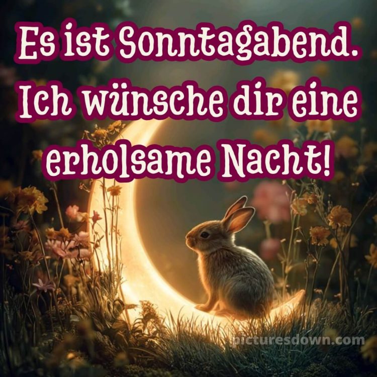 Sonntag guten abend gute nacht bilder kostenlos bild 10 kostenlos