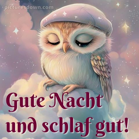 Sonntag guten abend gute nacht bilder kostenlos bild 12 kostenlos