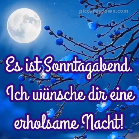 Sonntag guten abend gute nacht bilder kostenlos bild 15 kostenlos