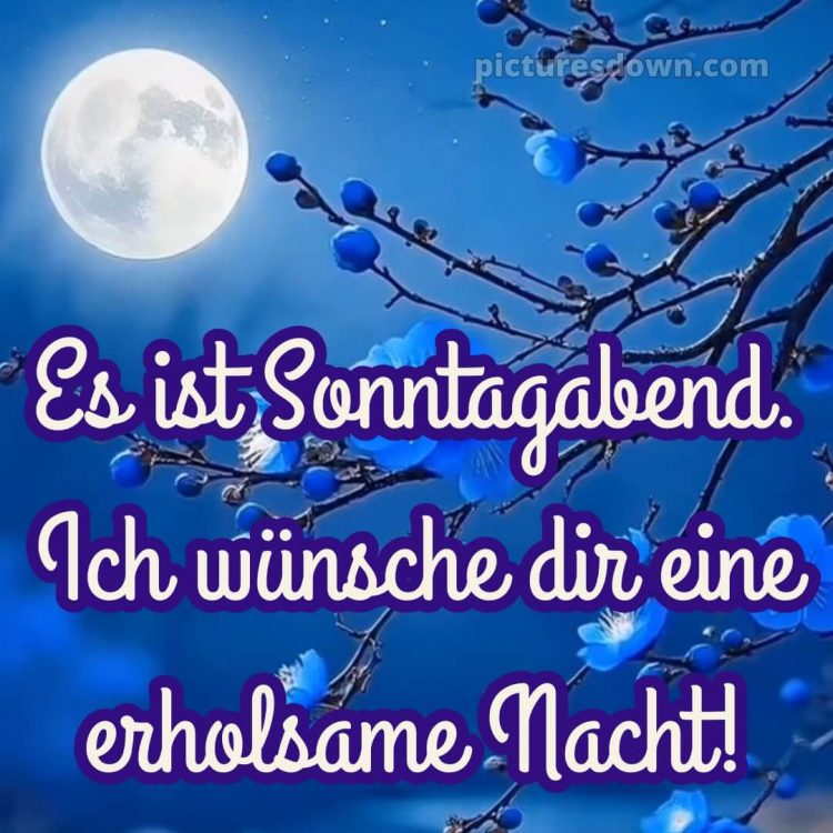 Sonntag guten abend gute nacht bilder kostenlos bild 15 kostenlos