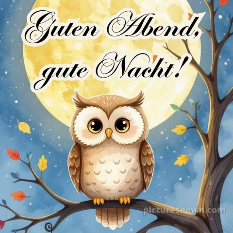 Sonntag guten abend gute nacht bilder kostenlos bild 2 kostenlos
