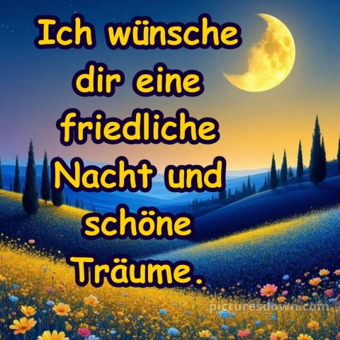 Sonntag guten abend gute nacht bilder kostenlos bild 4 kostenlos