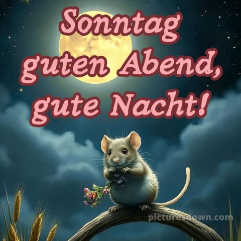 Sonntag guten abend gute nacht bilder kostenlos bild 5 kostenlos