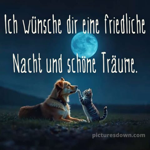 Sonntag guten abend gute nacht bilder kostenlos bild 8 kostenlos