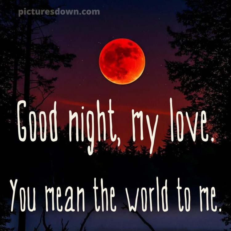 Good night i love you picture 11 free download